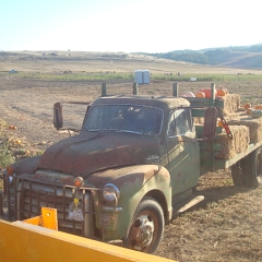 real life Mater (without the Tow)